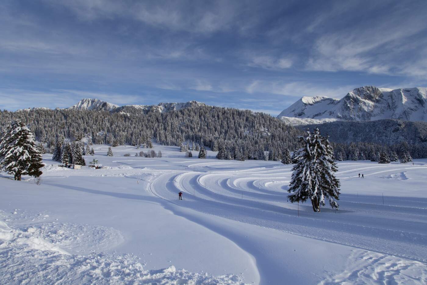 Ski De Fond Renseignement Plateau De L'arselle